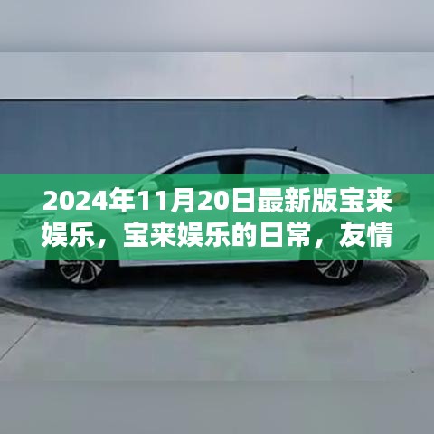 宝来娱乐日常，友情、欢笑与爱的温暖时光（2024年11月20日最新版）