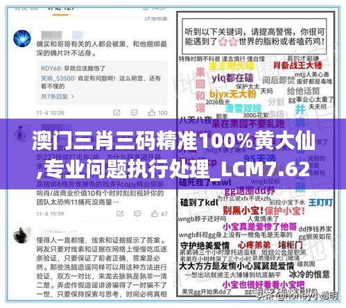 澳门三肖三码精准100%黄大仙,专业问题执行处理_LCM7.62.93内含版