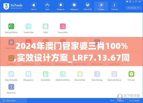 2024年澳门管家婆三肖100%,实效设计方案_LRF7.13.67同步版