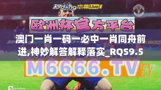 澳门一肖一码一必中一肖同舟前进,神妙解答解释落实_RQS9.54.53温馨版