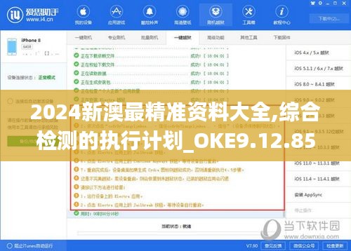 2024新澳最精准资料大全,综合检测的执行计划_OKE9.12.85内容版