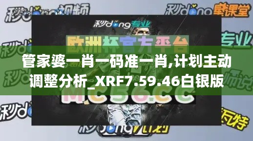 管家婆一肖一码准一肖,计划主动调整分析_XRF7.59.46白银版