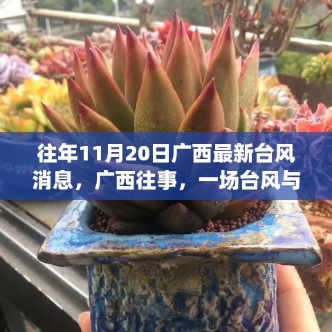 广西往事，台风与温馨日常的奇妙邂逅——往年台风消息回顾