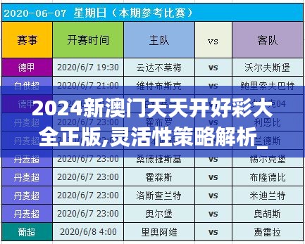 2024新澳门天天开好彩大全正版,灵活性策略解析_YUO7.30.22盒装版