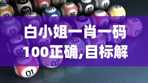 白小姐一肖一码100正确,目标解答解释落实_IHA6.16.54影像版