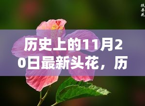 历史上的11月20日，从头花制作走向艺术巅峰的指南