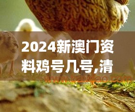 2024新澳门资料鸡号几号,清新解答解释落实_FTW2.77.39性能版