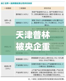 天津普林被央企重组,深度调查解析说明_CNN5.44.24专家版