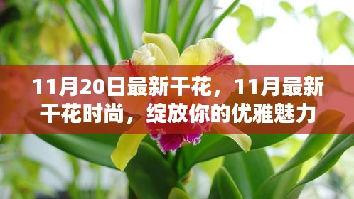 11月最新干花时尚，绽放优雅魅力