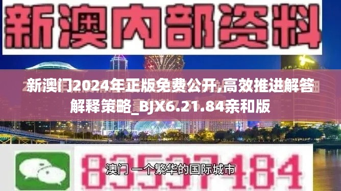 新澳门2024年正版免费公开,高效推进解答解释策略_BJX6.21.84亲和版