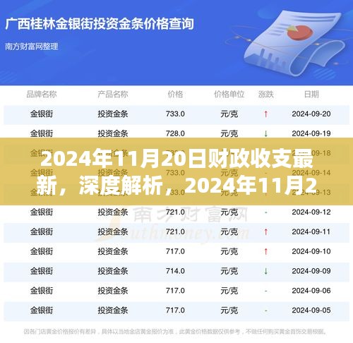 深度解析，2024年11月20日财政收支最新情况评测与财政收支报告