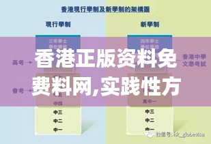 香港正版资料免费料网,实践性方案设计_LLN8.73.97设计师版