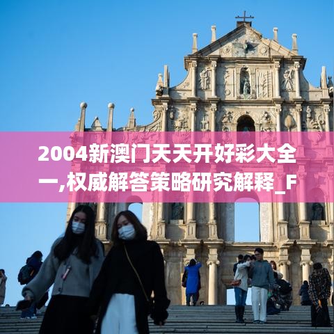 2004新澳门天天开好彩大全一,权威解答策略研究解释_FYA9.71.39铂金版