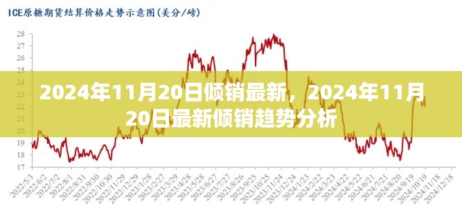 2024年11月20日最新倾销动态与趋势分析报告