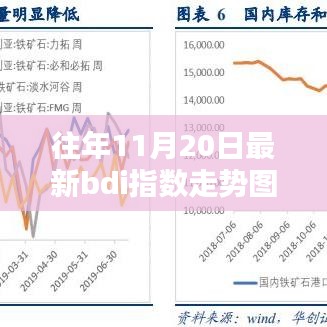 往年11月20日BDI指数走势图详解与产品全面评测介绍