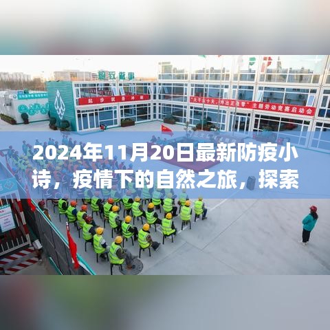 疫情之下，探索自然之旅，防疫小诗与内心宁静的寻觅