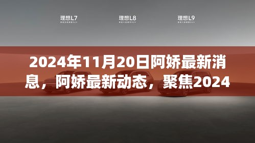 阿娇最新动态揭秘，双面视角下的2024年11月20日更新消息