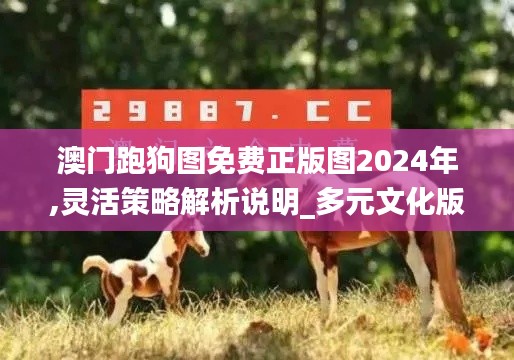 澳门跑狗图免费正版图2024年,灵活策略解析说明_多元文化版LSK3.30