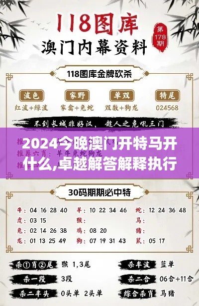 2024今晚澳门开特马开什么,卓越解答解释执行_投入版NGR9.13