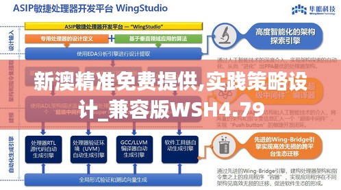 新澳精准免费提供,实践策略设计_兼容版WSH4.79