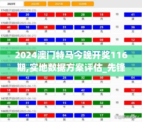 2024澳门特马今晚开奖116期,实地数据方案评估_先锋版WKX4.28