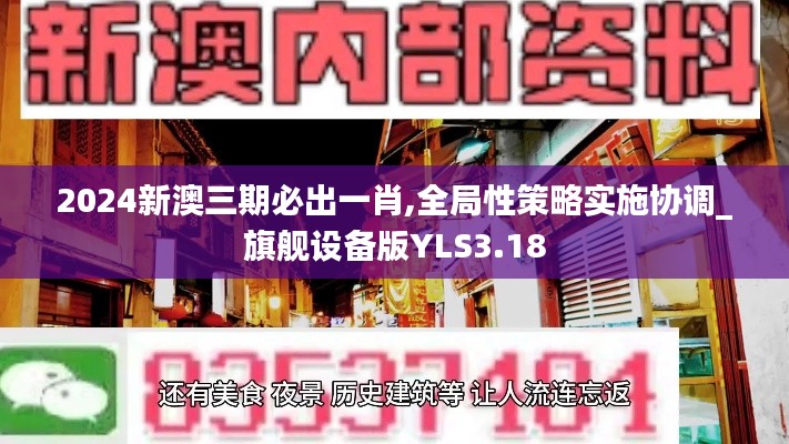 2024新澳三期必出一肖,全局性策略实施协调_旗舰设备版YLS3.18