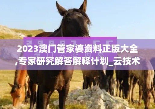 2023澳门管家婆资料正版大全,专家研究解答解释计划_云技术版PNJ2.78