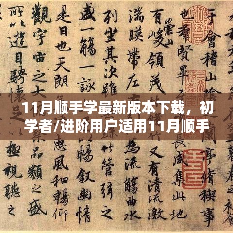 11月顺手学最新版本下载指南，适合初学者与进阶用户的详细步骤标题建议，初学者到进阶！11月顺手学最新APP下载步骤详解