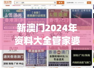 新澳门2024年资料大全管家婆,创意解答解释现象_掌中版ZPJ2.73