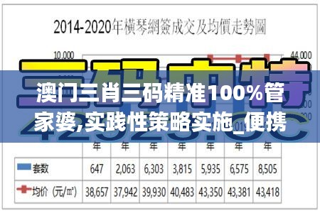 澳门三肖三码精准100%管家婆,实践性策略实施_便携版YSM9.46