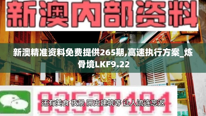 新澳精准资料免费提供265期,高速执行方案_炼骨境LKF9.22