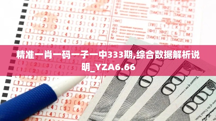 精准一肖一码一子一中333期,综合数据解析说明_YZA6.66