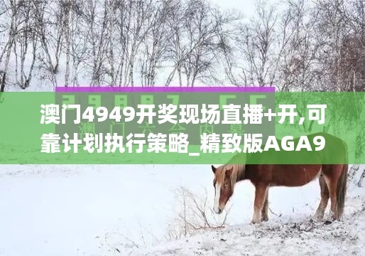 澳门4949开奖现场直播+开,可靠计划执行策略_精致版AGA9.26