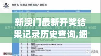 新澳门最新开奖结果记录历史查询,细致解答解释落实_内置版KYB9.46