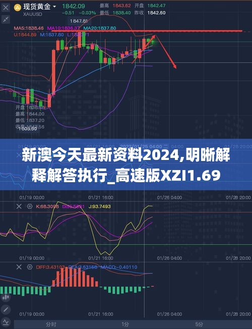 新澳今天最新资料2024,明晰解释解答执行_高速版XZI1.69