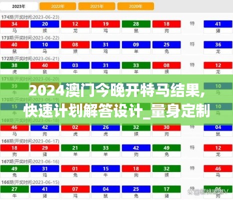 2024澳门今晚开特马结果,快速计划解答设计_量身定制版UHA5.51