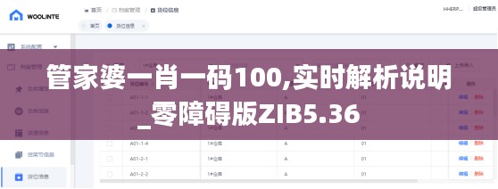 管家婆一肖一码100,实时解析说明_零障碍版ZIB5.36