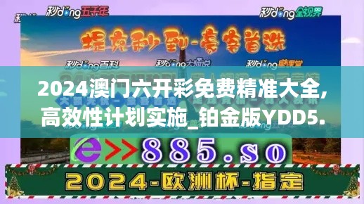 2024澳门六开彩免费精准大全,高效性计划实施_铂金版YDD5.51