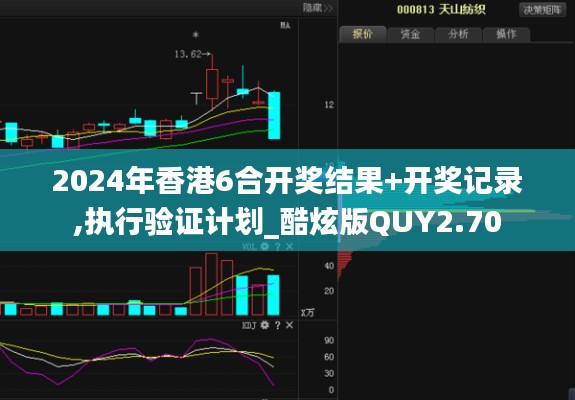 2024年香港6合开奖结果+开奖记录,执行验证计划_酷炫版QUY2.70