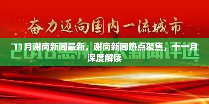 谢岗新闻热点聚焦，深度解读十一月最新动态