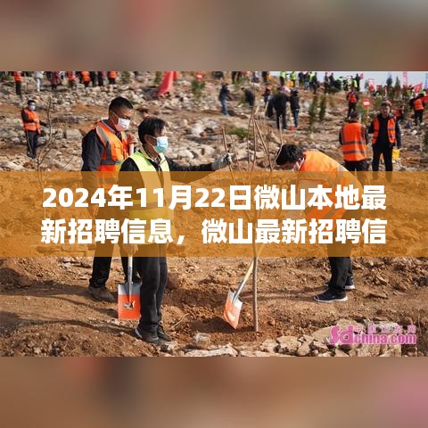 微山最新招聘信息2024年求职者的福音，优质岗位等你来挑战