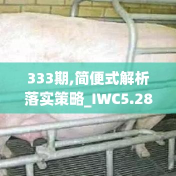 333期,简便式解析落实策略_IWC5.28