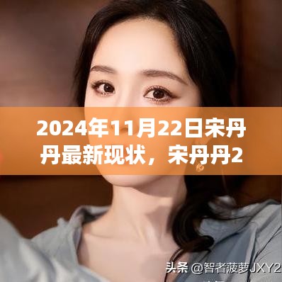 2024年11月22日宋丹丹最新现状，宋丹丹2024年最新现状，演艺生涯的崭新篇章