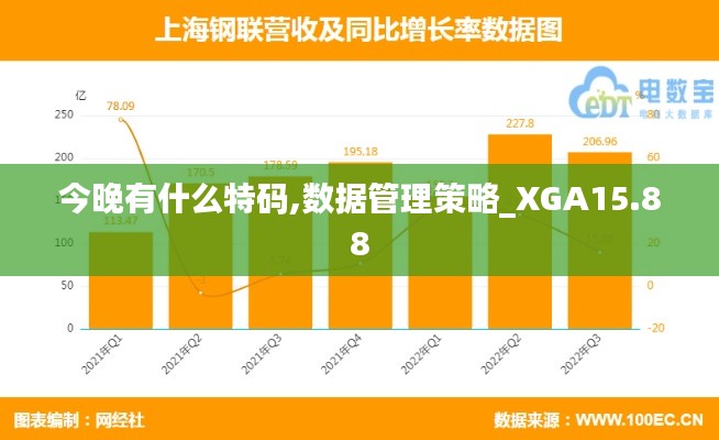 今晚有什么特码,数据管理策略_XGA15.88