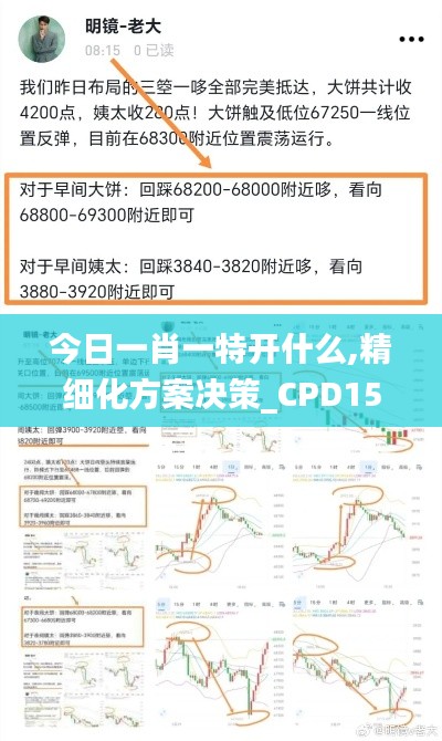 今日一肖一特开什么,精细化方案决策_CPD15.22