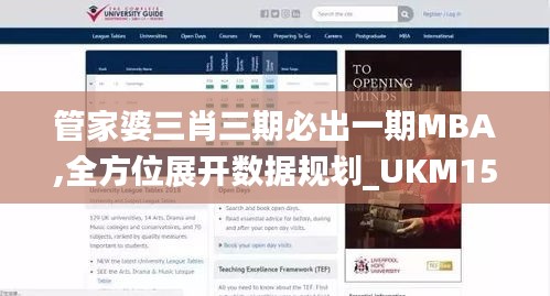 管家婆三肖三期必出一期MBA,全方位展开数据规划_UKM15.85