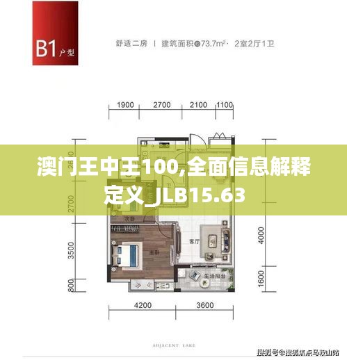 澳门王中王100,全面信息解释定义_JLB15.63