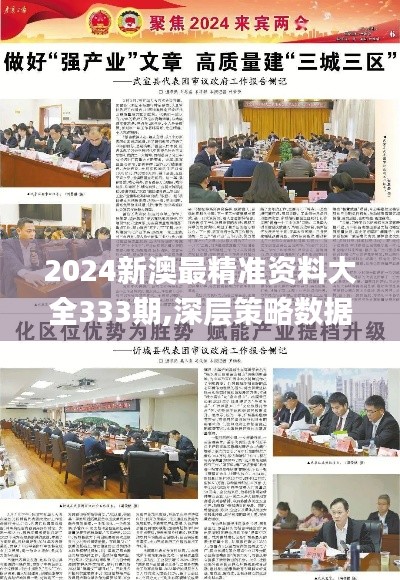 2024新澳最精准资料大全333期,深层策略数据执行_LRK3.42