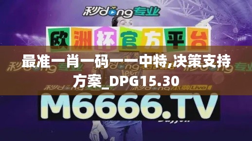 最准一肖一码一一中特,决策支持方案_DPG15.30