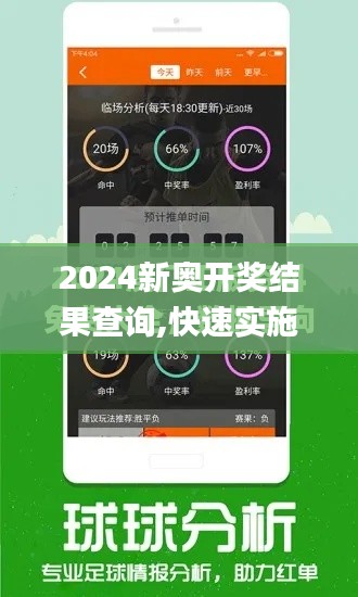 2024新奥开奖结果查询,快速实施解答研究_BKS15.30